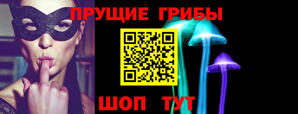 Алапаевск  Галлюциногенные грибы прущие грибы  Галлюциногенные грибы MAGIC MUSHROOMS  Вход с VPN 